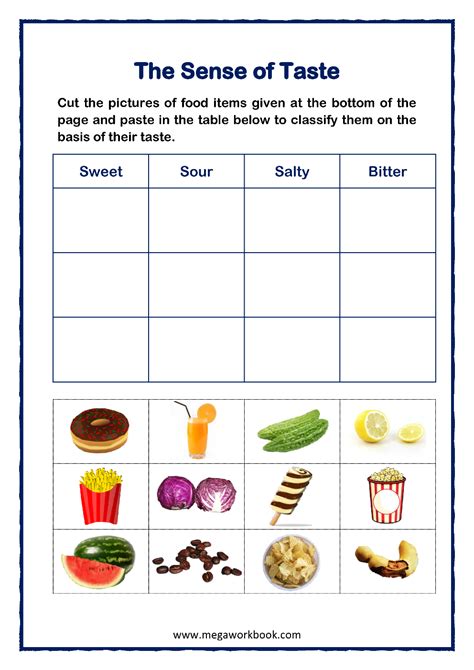 5 Senses Worksheet Nursery – NBKomputer