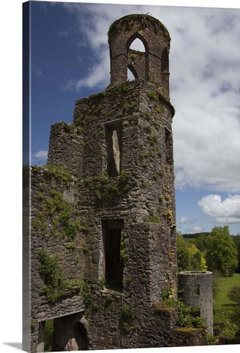 Ruins of the Blarney Castle | Canvas print wall, Wall art prints, Photo ...