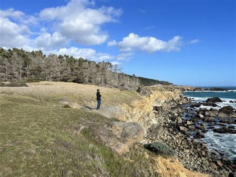 2023 Best 10 Trails in Salt Point State Park | AllTrails