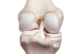 Reconstructie Ligament Incrucisat Posterior Dr Adrian Pojoga