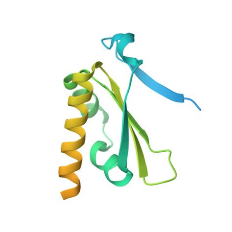 Rcsb Pdb H Structure Of Mouse Scmc Bound With Kh Domain Of Filia