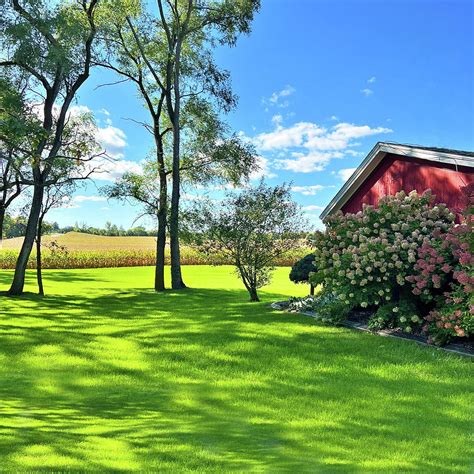 On A Clear Day At The Farm Photograph By Kim Hojnacki Pixels