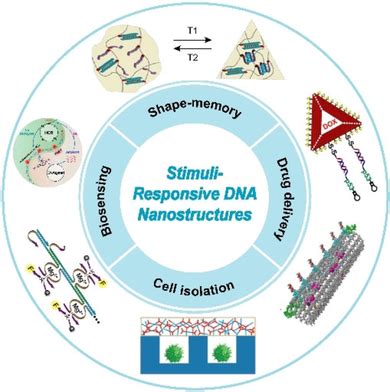 Construction Of Smart Stimuliresponsive Dna Nanostructures For