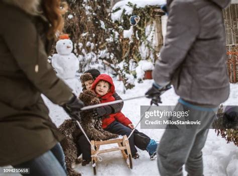 Snowman Sledding Photos And Premium High Res Pictures Getty Images