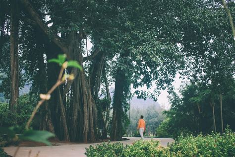 Thung Nham Bird Garden In Ninh Binh Top Highlights And Travel Guide