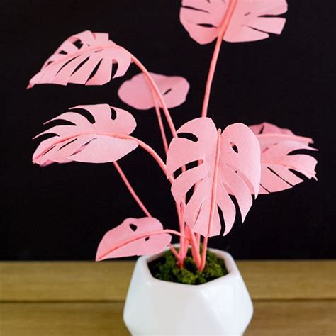 Pink Monstera Plant Flower Crafts Diy Flowers Flower Ideas Monstera