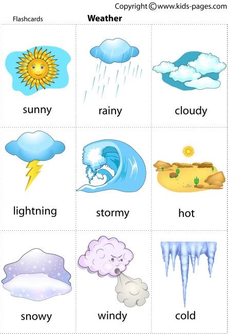 Rainy Flashcards