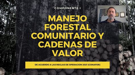 Manejo Forestal Comunitario Y Cadenas De Valor Youtube