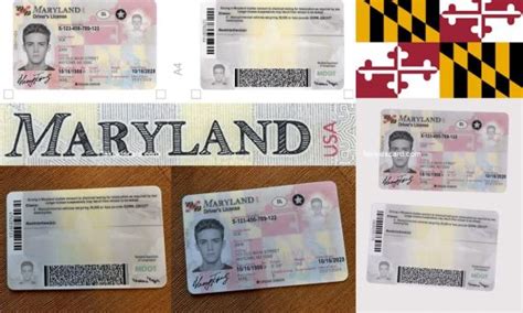 Maryland Fake Id Scannable Buy Fake Id Best Scannable Fake Id Online