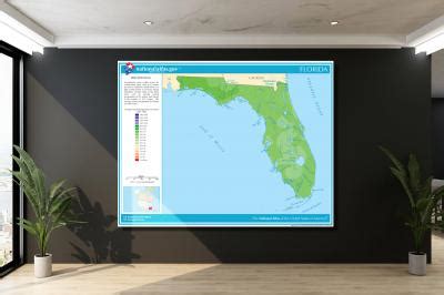 Florida-Annual Precipitation Map, 2022 - Canvas Wrap