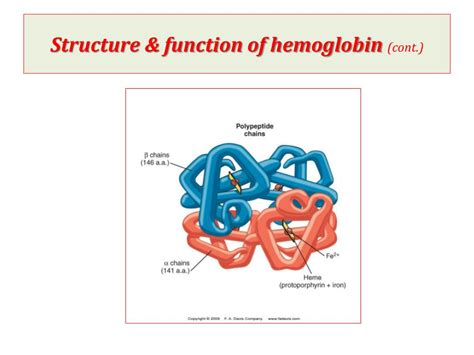 PPT - Hemoglobin Structure & Function PowerPoint Presentation, free ...