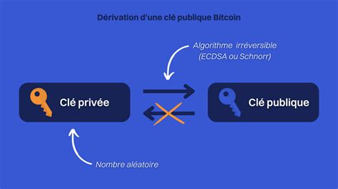 Phrase De R Cup Ration Bitcoin Vs Mots Bitstack