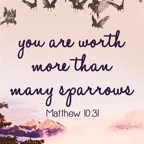 You Are Worth More Than Many Sparrows Matthew 10 31 Bib Flickr