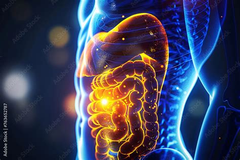 Person With Pain In His Stomach Body With Pain In The Stomach Man