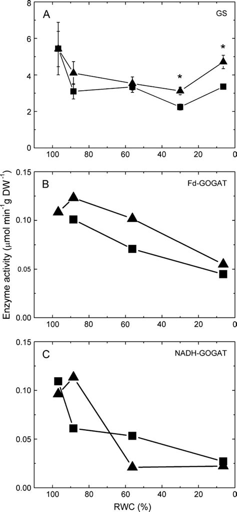 Gsgogat Cycle Enzyme Activity During Desiccation Stress In Yl Black