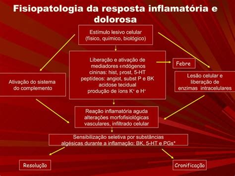 Segurança De Medicamentos Antiinflamatórios Inibidores Da Cox 2 Ppt