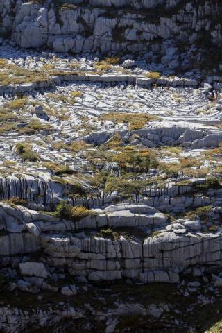 Limestone pavements, karst landforms, geology on Gamser Rugg Mounta...