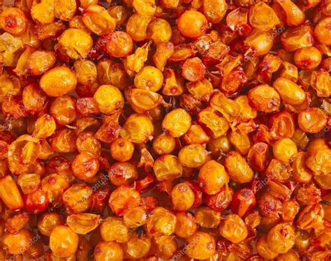 Sea Buckthorn Lb Berries Dried Sea Buckthorn Organic Etsy