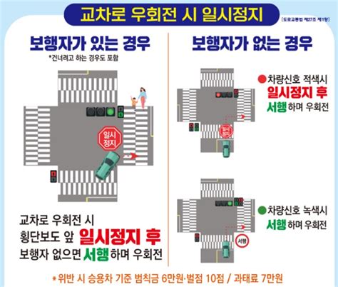 개정된 교차로 우회전보행자 유무 확인해야 네이트 뉴스