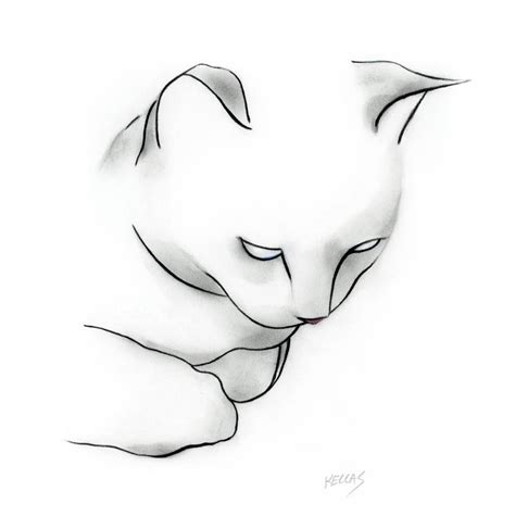 Black and White Cat Drawing by Kellas Campbell | Saatchi Art