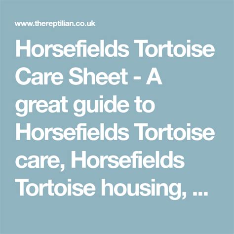 Horsefields Tortoise Care Sheet - A great guide to Horsefields Tortoise ...