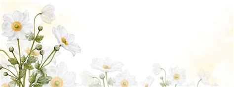 Premium Photo | Flower blooming watercolor banner background