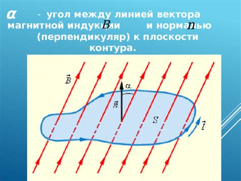Презентация по теме "Магнитный поток"