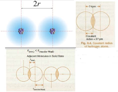 Why is van der Waals radius greater than covalent radius covalent ...