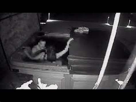 Hot Tub Sex Trespassers Caught On Kelowna Security Camera YouTube