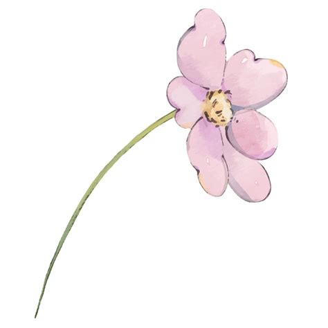 Premium Vector | Watercolor floral illustration of pink wildflower