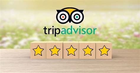 Qué Es Y Cómo Funciona Tripadvisor Web De Opiniones De Viajeros