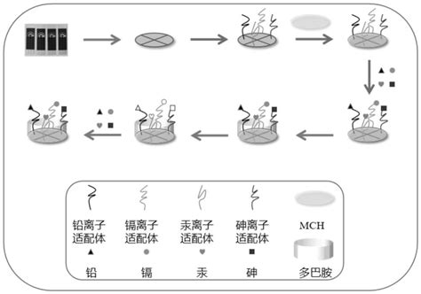 一种基于适配体 多巴胺印迹限域的多种金属离子同时检测的电化学传感器及其应用