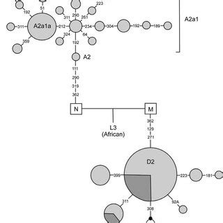 Map of Bering Island, Russia. | Download Scientific Diagram