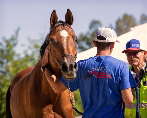 Winton To Longreach Endurance Ride 5