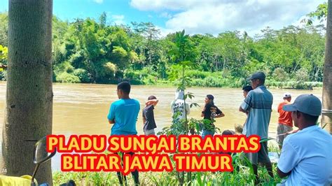 Pladu Sungai Brantas Flushing Waduk Wlingi Flushing Waduk Lodoyo