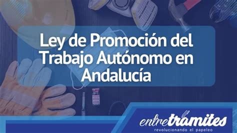 Promoci N Del Trabajo Aut Nomo En Andaluc A Entre Tr Mites