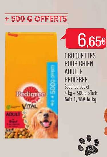 Promo Croquettes Pour Chien Adulte Pedigree Chez Match ICatalogue Fr