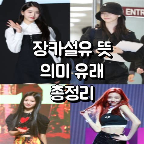 장카설유 뜻 MZ 워너비 비쥬얼 장카설유 의미 유래 총정리 | HoHo's블로그