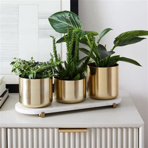 West Elm Gold Plant Pot Mbi Garden Plant