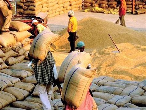 1367 Centres In 10 Coastal Districts To Be Opened For Kharif Paddy