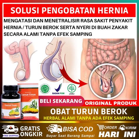 Jual Obat Turun Berok Pria Hernia Turun Peranakan Hidrokel Varikokel