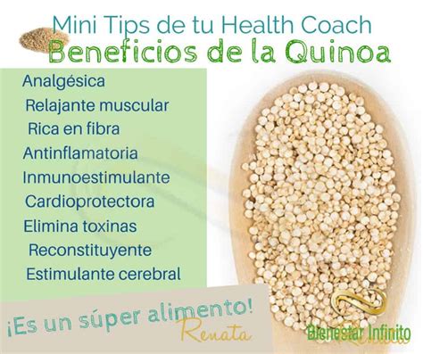 Beneficios De La Quinoa Bienestar Infinito