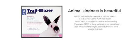 Amazon Nail Aid In Nude Manicure French Sheer Fluid Ounce Everything Else