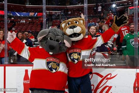 Florida Panthers Mascot Photos And Premium High Res Pictures Getty Images