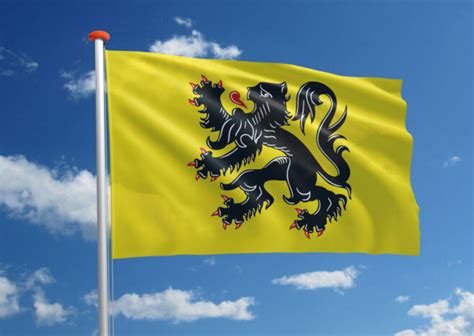 Streekvlag Vlaanderen Bestel Bij MastenenVlaggen Nl