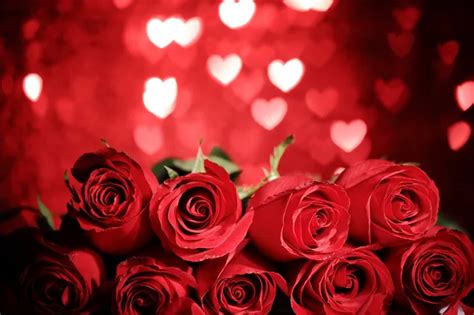 Valentine's day - red heart roses close up 2K wallpaper download