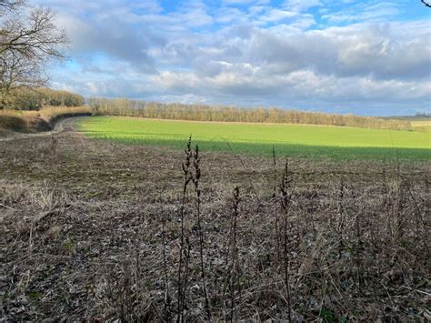 Fields North Of The Harrow Way Mr Ignavy Cc By Sa 2 0 Geograph