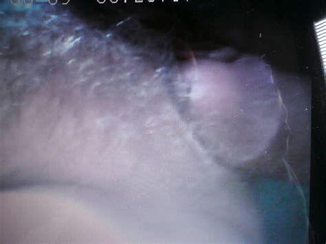 Groping Her Tits Porn Pictures XXX Photos Sex Images PICTOA