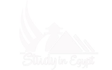 Future University in Egypt FUE – SiE