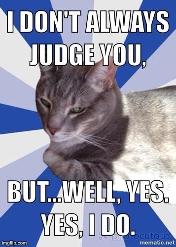 Image Tagged In Judgmental Cat Imgflip